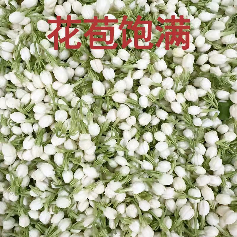 New Natural 100g Jasmine Dried - Soap Making Raw Material ulasan dan harga