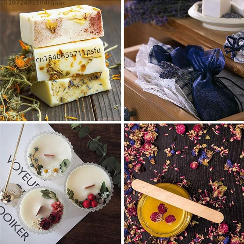 Top Natural Dried Forget Me No - Soap Making Raw Material ulasan dan harga